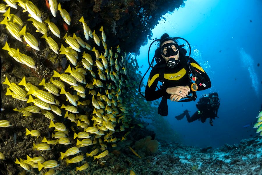 Bautismo de buceo — Ocean Friends Tenerife
